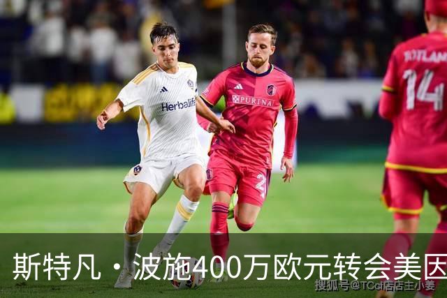 斯特凡·波施400万欧元转会美因茨